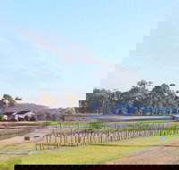 Blacklea Vineyard and Olive Grove - Accommodation Southport