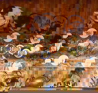 The Dark Horse - Southport Accommodation