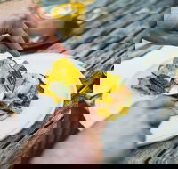 Travelling Bandit - Accommodation Southport