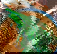 Fairbrossen Estate - Accommodation Southport