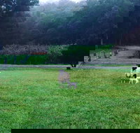 Goat Hill Farm - Southport Accommodation