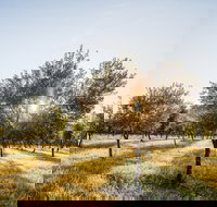 Guneemooroo Estate - Accommodation Southport