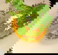 Harvey's Bar - Southport Accommodation