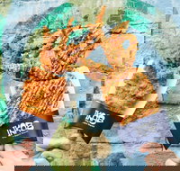 IKA8 - Accommodation Southport