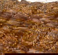 Kolachi - Southport Accommodation