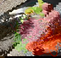 Cafe Rhubaba - Accommodation Southport