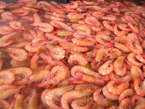 Grunske's By The River Seafood Market And Restaurant - Southport Accommodation 0