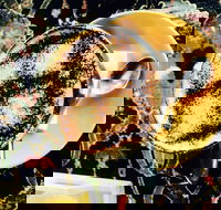 Cafe 3847 - Accommodation Southport