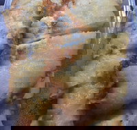 New Dragon - Accommodation Southport