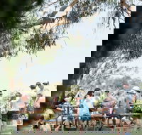 St Leonards Vineyard Caf - Accommodation Southport