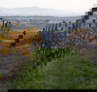 Barwon Ridge Wines - Accommodation Southport