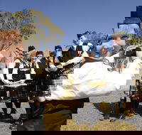 Peppermints Coffee Lounge - Southport Accommodation