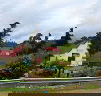 Frank's Cider House  and Cafe - Accommodation Southport