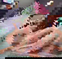 Fusion Wok - Southport Accommodation