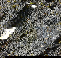 Tobin Wines - Accommodation Southport