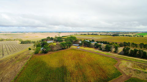 Pettavel Wines - Southport Accommodation 0