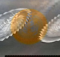 Aussie Bites Cafe - Southport Accommodation