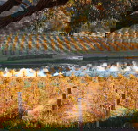 Sanguine Estate - Southport Accommodation