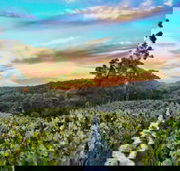 Between the Vines Cellar Door - Accommodation Southport