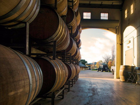 Eling Forest Cellar Door And Cafe - Southport Accommodation 2