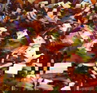 Flamin' Chix - Southport Accommodation