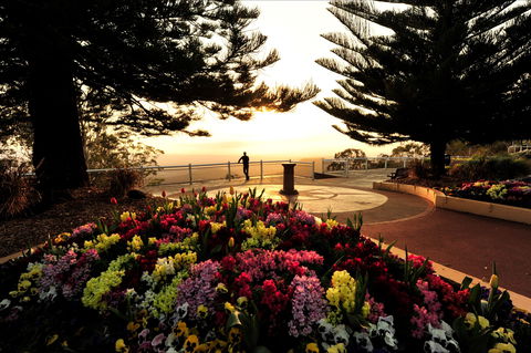 Picnic Point Cafe And Restaurant - Southport Accommodation 0