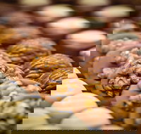 Cafe Stellina - Southport Accommodation