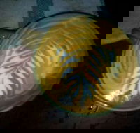 Lambert Vineyards - Southport Accommodation