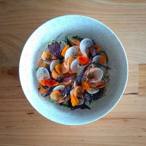 Pachinko - Southport Accommodation 0