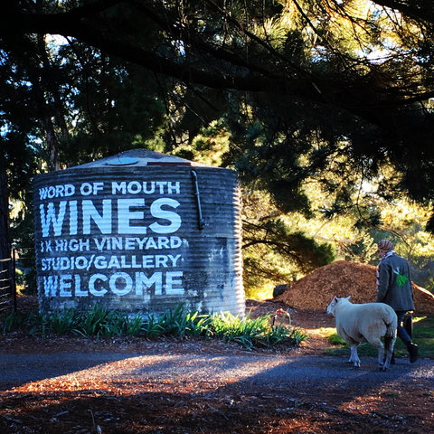 Word Of Mouth Wines - Southport Accommodation 1