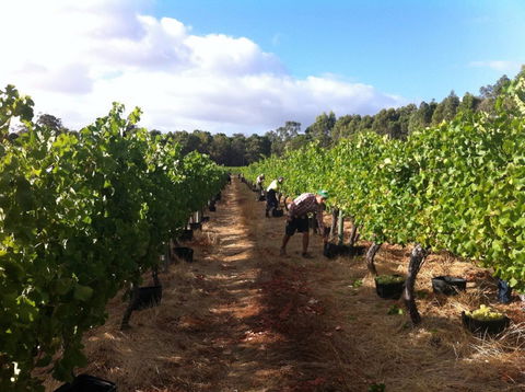 Ashbrook Estate - Southport Accommodation 1