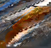 Baker's Boutique and Patisserie