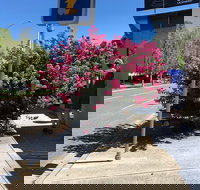 Alpine Gate Cafe - Accommodation Southport