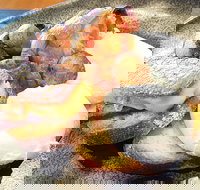 The Peak - Southport Accommodation