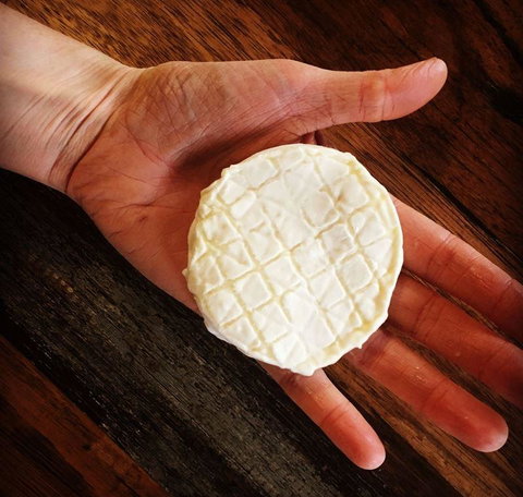 Greasy Zoes - Southport Accommodation 13