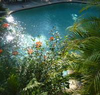 Avoca Beach Hotel - Southport Accommodation