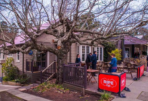 Ripe - Southport Accommodation 0