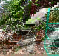 Larrimah Pink Panther Hotel - Southport Accommodation