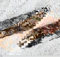 Stefano Lubiana Wines - Accommodation Southport