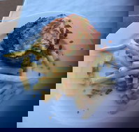 Bayside Inn - Accommodation Southport