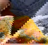 Brighton's Best Bakehouse - Accommodation Southport