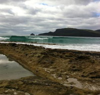 Bruny Island Berry Farm - Accommodation Southport