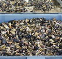 Lease 65 - Accommodation Southport