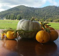 Mount Gnomon Farm - Southport Accommodation