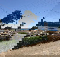 Penguin  Pardalote Coffee House - Accommodation Southport