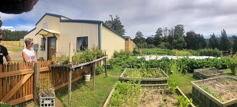 Springfield Tea Room - Accommodation Southport 0