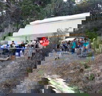 The Bay Fish - Accommodation Southport