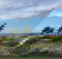 Coffee Cat - Southport Accommodation