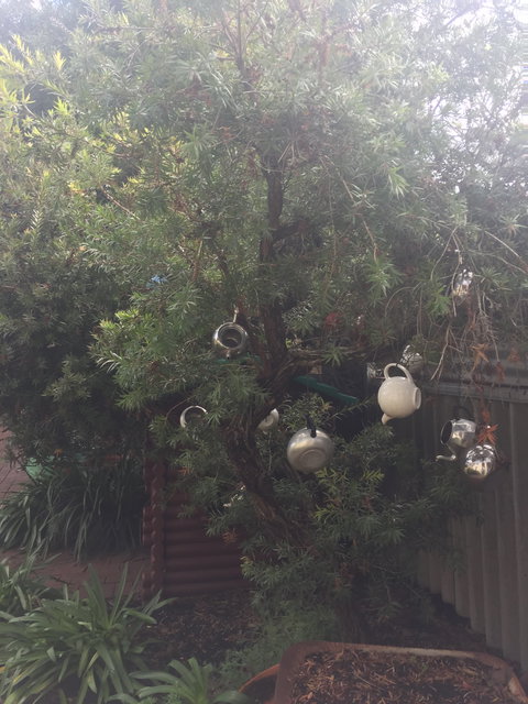 Dwellingup Blue Wren Cafe - Accommodation Southport 5