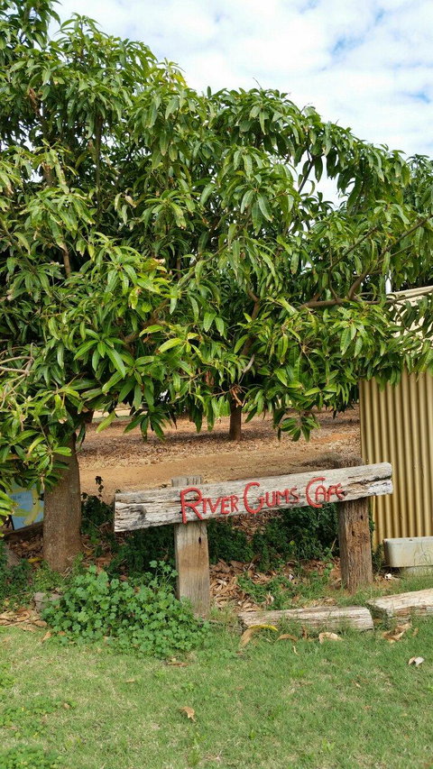 River Gums Cafe - Accommodation Southport 2